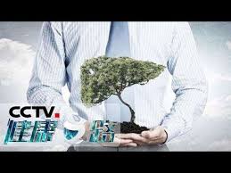 健康之路 男性也要養養肝男性更年期的特征20190523 cctv科教 youtube