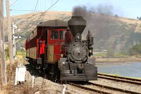 Nzr D Class Steam Tank Locomotives Operated On New Zealand S National Railway Network The First Entered Service In 1874 All Ha Locomotive Steam Trains Railway