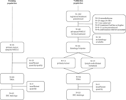 Chest pain is the most usual and obvious symptom of mesothelioma. Prediction Of Response To Pemetrexed In Non Small Cell Lung Cancer With Immunohistochemical Phenotyping Based On Gene Expression Profiles Bmc Cancer Full Text