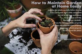 Cost really depends on how big and elaborate you want to make your home garden, but it is possible to grow your own organic fruits, vegetables and herbs for a. How To Maintain Garden At Home And Keep It Healthy Easily