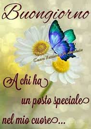 C'è una regola da ricordare: Buongiorno Speciale Le 40 Immagini Piu Emozionanti Pagina 4 Di 4 Lebelleimmagini It