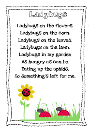 The Very Busy Kindergarten Ladybug Poem Freebie Kindergarten Poems Kindergarten Poetry Kids Poems