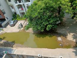 vikrant sawhney (@vikrantsawhney1)