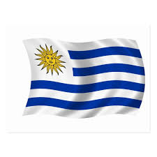 U21 premier league division 1; Flag Of Uruguay Postcard Zazzle Com Flag Uruguay Uruguay Flag