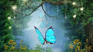 Peaceful Music Relaxing Music Instrumental Music Enchanted Forest By Tim Janis Youtube