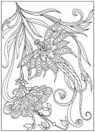 The lentil plant provides shelter and carbohydrates to rhyzobia bacteria living in nodules on the other colors may include brown and black. Flower And Plants Adult Coloring Pages