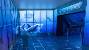 My fish tank got better fish, complete ripoff, shame on you. Aquarium Dubai Uae Zoo Paul Hamilton Sharks In A Mall