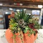 Plant Nite: Make a Succulent Terrarium