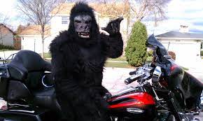 Gorilla On A Harley Happy Halloween 2012 Harley Happy Halloween Fashion