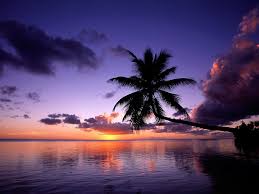 Download, share or upload your own one! Free Download Download 1024x768 Tropical Island Beach Scenery Sunset Wallpaper 1024x768 For Your Desktop Mobile Tablet Explore 46 Free Wallpaper Tropical Scenes Wallpaper For Desktop Beach Scenes Tropical Beach Scenes Wallpaper