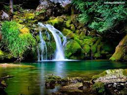 Paisajes Con Flores En Movimiento Imagenes De Paisajes Hermosos Fondo De Pantalla De Cascada Paisajes Naturaleza Permite establecer el fondo de pantalla. imagenes de paisajes hermosos