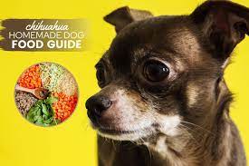 → particularly for dogs with diseases such as diabetes, a complete and balanced diet can literally make the difference between life and death. Homemade Dog Food For Chihuahuas Guide Recipes Nutrition Tips Canine Bible