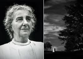 New Yorker Spotlight: Brian and Andy Marcus Carry