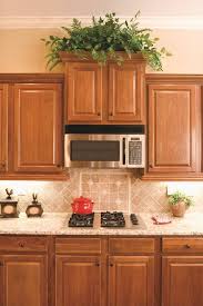 Best Plants You Can Grow In Kitchen How To Decorate Kitchen With Plants Maple Kitchen Cabinets Kitchen Remodel Oak Cabinets