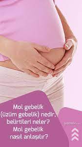 mol gebelik uzum gebelik nedir belirtileri neler mol gebelik nasil anlasilir uzum hamilelik