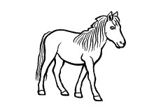 Ritter sind der dauerbrenner im kinderzimmer. Ausmalbilder Pferde Und Ponys Stute Fohlen Und Esel
