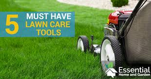 Read on to learn how to water a lawn, and when, how often your grass needs water, and a whole lot more to amp up your lawn care. 5 Must Have Lawn Care Tools Essential Home And Garden