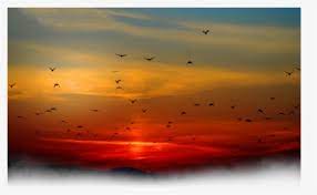 Beautiful vector, photo and png textures. Sunset Png Images Transparent Sunset Image Download Pngitem