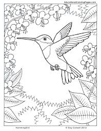 Hummingbird coloring book for adults: Coloring Pages Hummingbirds Hummingbird Coloring Flower Coloring Nature Coloring Pages Bird Coloring Pages Animal Coloring Pages Coloring Pages Nature