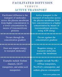 Difference Between Facilitated Diffusion And Active Transport Definition Mechanism Function