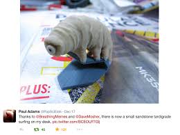 The best violin memes and images of april 2021. 3dp Tardigrade Is A Marketing Success 3d Printing Industry