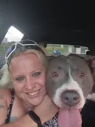 If anyone sees this dog his name is Marshall he has been missing for about  2 weeks and was told last night he could have been in the round top area of