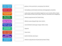 Mesokarpa akan diperah untuk mengeluarkan minyak sawit mentah dalam mesin pengekstrakan. Sebatian Karbon Risorse Per L Insegnamento