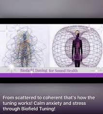 Biofield viewer images matched to show anterior and posterior montage in chakra viewer mode. Harmony Healing Therapies Dana Point Ca Nutritionists Mapquest