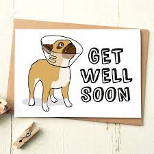 July 17, 2021 by mathilde émond. Get Well Soon And A French Bulldog New Ecard The Best Greeting Card For You