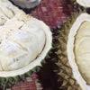 Makanan ini kaya bumbu dan nikmat abis! 27 List Wisata Kuliner Mewah Di Padang Sidempuan Tenggara Padang Sidempuan Listkuliner Com
