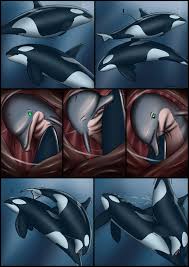 Rule34 - If it exists, there is porn of it  dolorcin  4564310