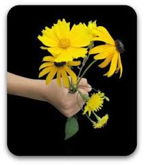 Free Funeral Poems Sympathy Poems Bereavement Poems And Funeral Readings