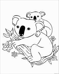 Coffee machine cleaner australian animals coloring koala. Koala Coloring Pages Animal Printable Sheets Printable Koala 2021 3059 Coloring4free Coloring4free Com