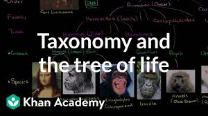 Taxonomy And The Tree Of Life
