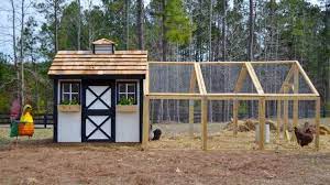 How do you build a chicken coop. How To Build A Backyard Chicken Coop Homesteading