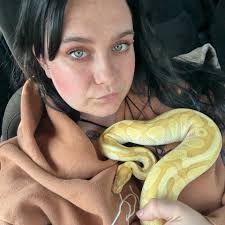 My gecko room is complete finally!! ISO Leachie, Chewy, Cuban false  chameleon, Pac-Man/Pixie frog.