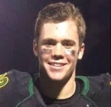 101 Dolphins Stories