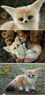 Timothy Blau (timothyblau)