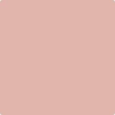 We present you our collection of desktop wallpaper theme: 11 Boho Background Ideas In 2021 Aesthetic Wallpapers Solid Color Backgrounds Pastel Color Wallpaper