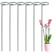 Ireland is blessed with a mild, moist climate and zero atmospheric pollution which is paradise for plants and in. Buy Leobro 6 Pack Plant Stakes For Flowers Metal Single Stem Plant Support Garden Plant Stakes For Amaryllis Orchid Lily Rose Tomatoes Dark Green 40 5 Cm15 9 Inch Online In Ireland B082fxhrsv