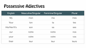 Possessive Pronouns In French Chart Pronouns Chart