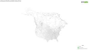 Image result for Echinochloa pyramidalis