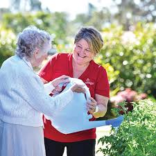 Other areas worth seeing are the japanese bridge, bush tucker garden, aboriginal bush tucker garden. Home Garden Hervey Bay