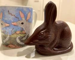 Image of Bilby rabbit