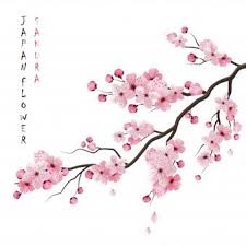 Telechargez Branche Realiste De Sakura Gratuitement Comment Dessiner Une Fleur Art De Fleur De Cerisier Illustrations De Fleurs