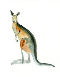 Kangaroo Kangaroo Art Animal Art Watercolor Animals