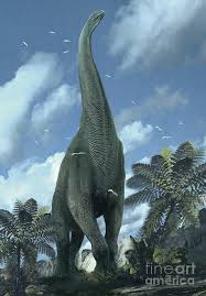 Brachiosaurus The Tallest Dinosaur Dinosaur Pictures Dinosaur Illustration Prehistoric World