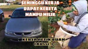 Malah, ada segelintir anak muda yang sanggup mengambil risiko kerana tertarik dengan gaji lumayan yang ditawarkan. Skachat Besplatno Pesnyu Www Www Gaji Rm6 000 Petik Buah Di Australia V Mp3 I Bez Registracii Mp3hq