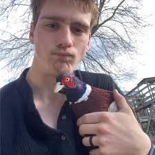 What are the basics of genetics and pigeon breeding?