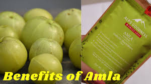benefits of amla benefits of indian gooseberry staybeautiful beauty health blogger benefits of amla benefits of indian